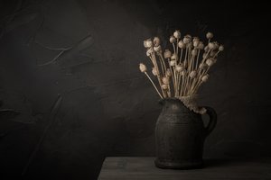 Dark Poppy Pod Still Life by Mayra Pama