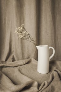 Minimalist Floral Still Life by Mayra Pama