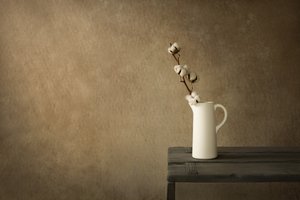 Rustic Cotton Still Life by Mayra Pama