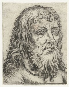 Head of an Old Man (Study Heads series) by Meester van het Amsterdamse Kabinet