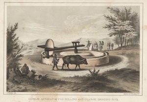 Chinese Apparatus for Hulling and Coarse Grinding Rice, 1855 by Meffert