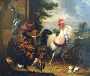 Farmyard Fowl