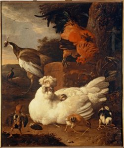 Hen with Chicks