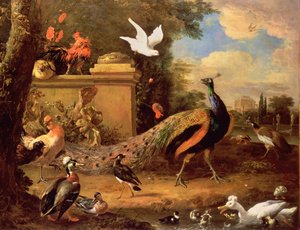 Peacocks and other Birds by a Lake