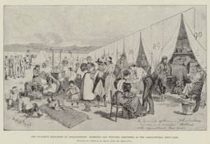 The Dynamite Explosion at Johannesburg, Homeless and Wounded sheltered at the Agricultural Show-Yard