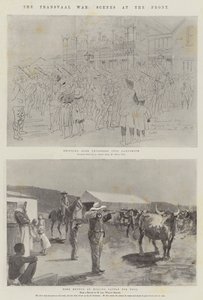 The Transvaal War, Scenes at the Front