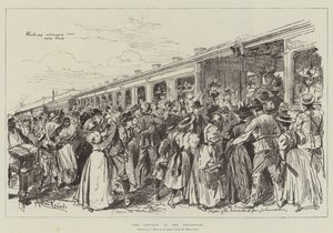 The Trouble in the Transvaal