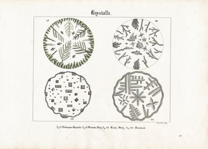 Crystal Forms of Various Salts