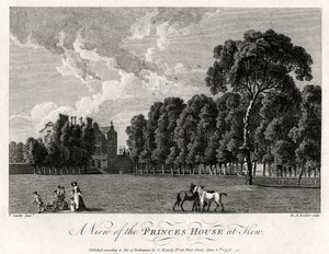 A View of the Prince