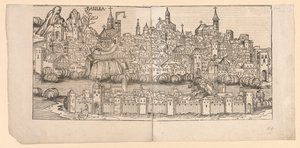 Nuremberg Chronicle: Topographical View of Basle, Switzerland by Michael Wolgemut