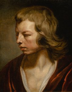 Study of a Boy by Michaelina Wautier