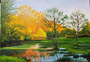 Flooded Field in Gironde