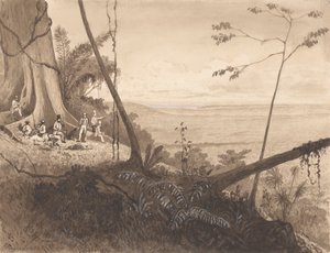 Cedar Point, Mount Tamana by Michel Jean Cazabon