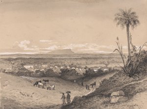 Village of Arima and Mount Tamana by Michel Jean Cazabon