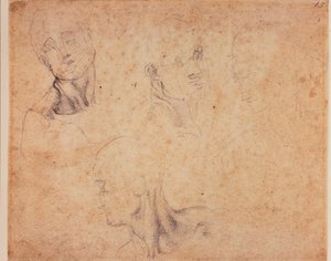 Four male head studies by Michelangelo (after) Buonarroti