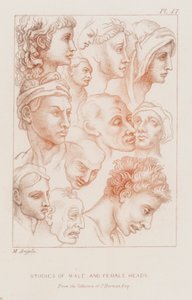 Studies of male and female heads