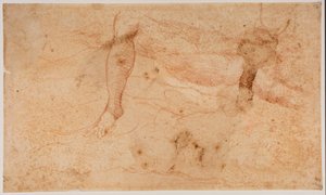 Studies of Nudes by Michelangelo (after) Buonarroti
