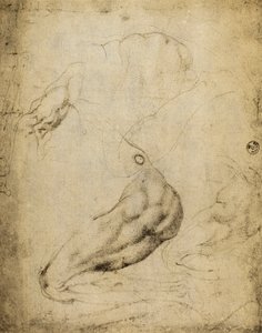 Anatomic Study by Michelangelo Buonarroti