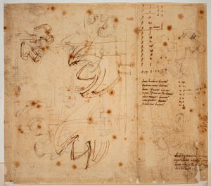 Autograph Studies and Counts