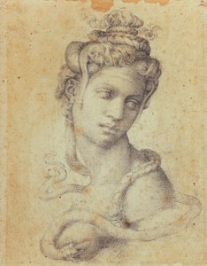 Cleopatra by Michelangelo Buonarroti