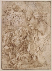 Studies for a Holy Family with John the Baptist as Child (detail) by Michelangelo Buonarroti