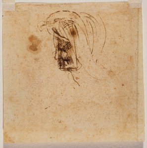 Female head by Michelangelo Buonarroti