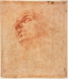 Head Study for the Sistine Jonah