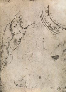 Male Legs by Michelangelo Buonarroti
