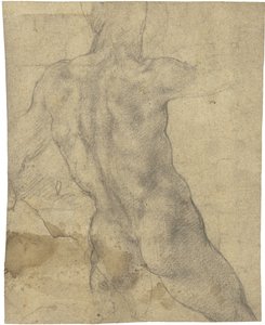 Male nude by Michelangelo Buonarroti