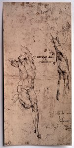 Naked man, arm study by Michelangelo Buonarroti