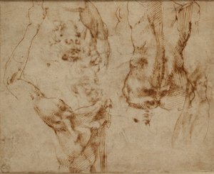 Nude Studies, c. 1490-1560 by Michelangelo Buonarroti