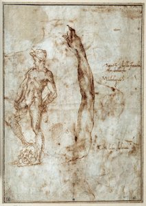 Nude Study. Michelangelo Buonarroti known as Michelangelo by Michelangelo Buonarroti