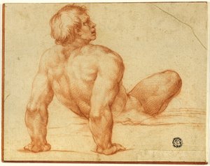 Seated Male Nude by Michelangelo Buonarroti