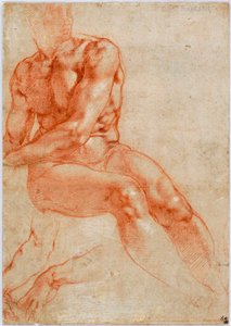 Seated Young Male Nude and Two Arm Studies by Michelangelo Buonarroti