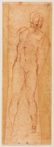 Study for a Manly Figure
