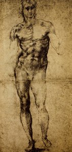 Study for a Male Nude