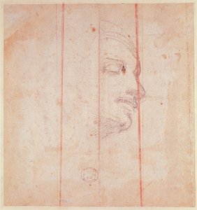 Study for the Head of the Libyan Sibyl