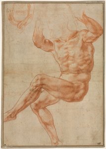 Study for the Nude Youth over the Prophet Daniel (recto) by Michelangelo Buonarroti