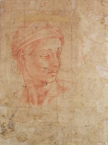 Study of a Head