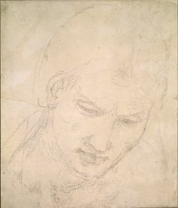 Study of a Head