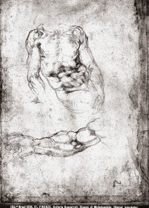 Study of a male torso and arm by Michelangelo Buonarroti