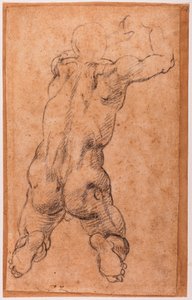 Study of kneeling male nude