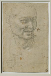 Head and Right Hand of the Ignudo Above and to the Left of Isaiah, Sistine Chapel Ceiling by Michelangelo Buonarroti