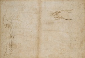 Verso: Studies of a Man