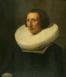 Portrait of a Lady, Aged 58 by Michiel Jansz. van Miereveld