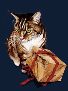 Birthday Cat on Midnight Blue, 2020