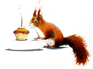 Birthday Squirrel on White