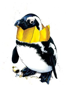 Christmas Penguin on White, 2020