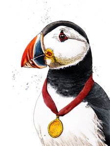 Congrats Puffin on White by Mike Davis