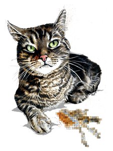 Gift Cat on White, 2020